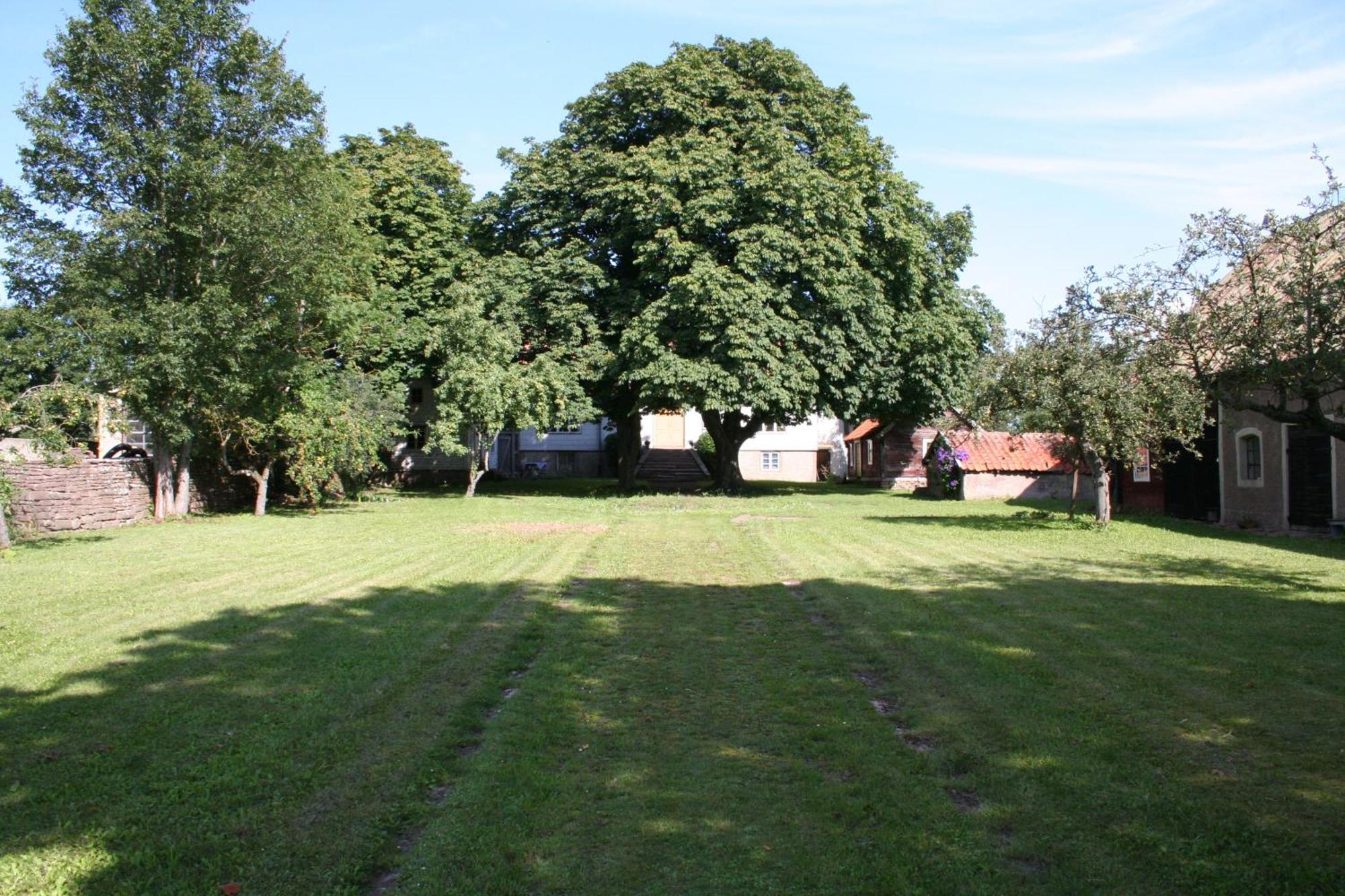 Greby Bed & Breakfast Bed and Breakfast Räpplinge Esterno foto